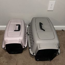 pet carrier 