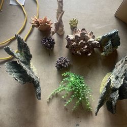 fish decoration 