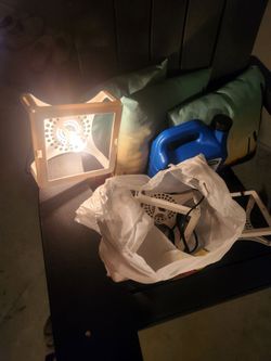 Reusable flea traps