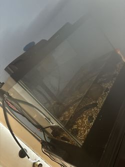 Fish Tank