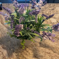 Fake Lavender Plant