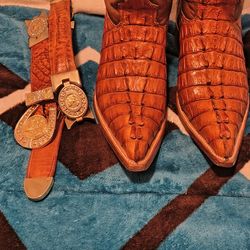 Alligators Size 8