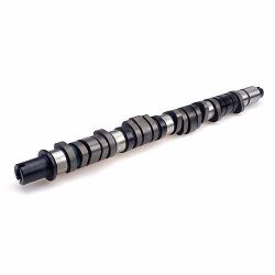 D16Z6 Stage 3 Camshaft 