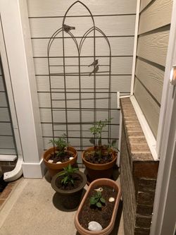 Unique metal bird trellis 66" by 24" apex