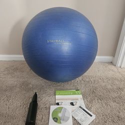 Gold's Gym Weighted Exercise Ball with Pump