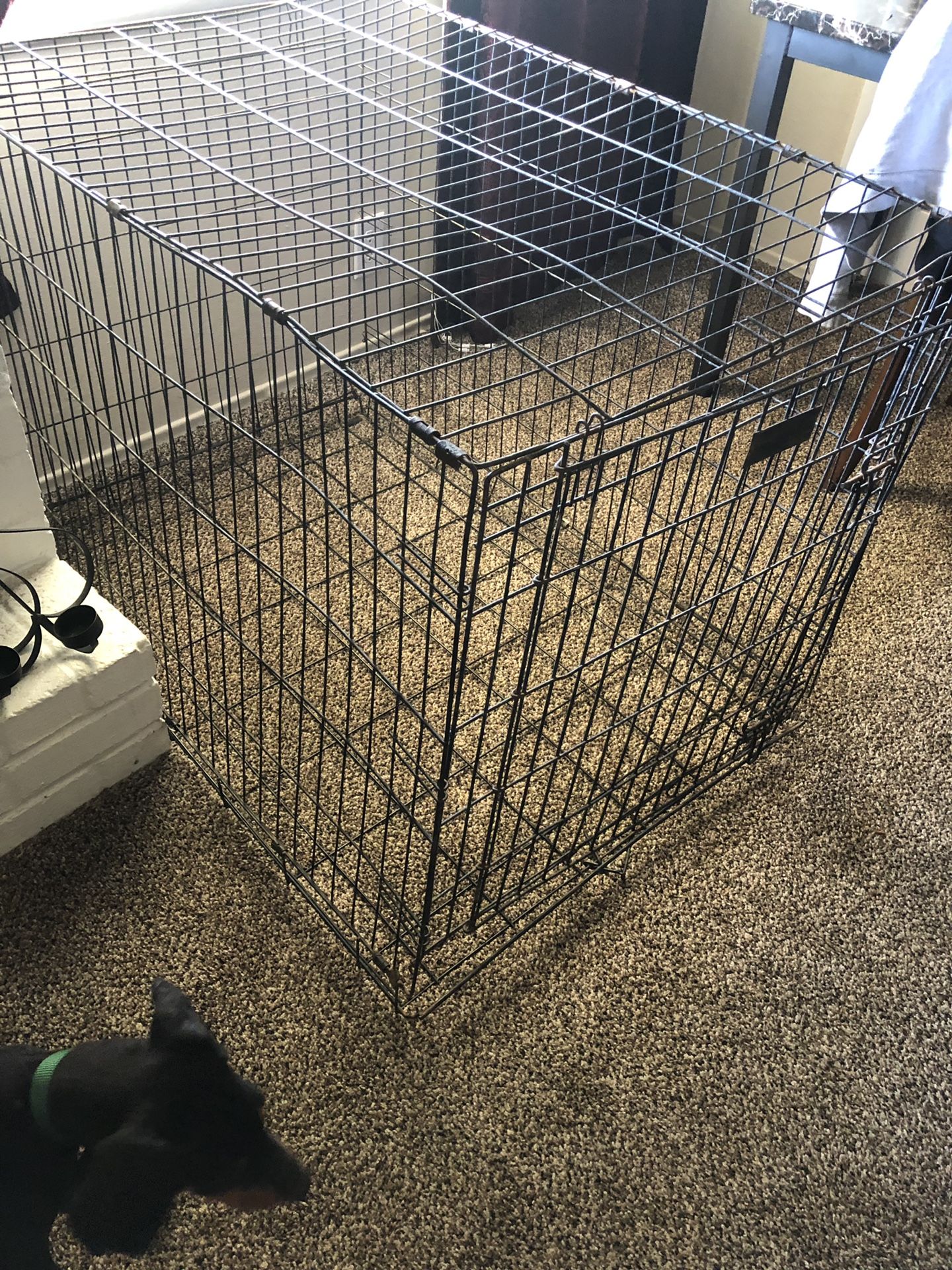 Dog crate XL for Sale in Lodi, CA OfferUp