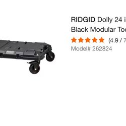 💥RIGID DOLLY💥