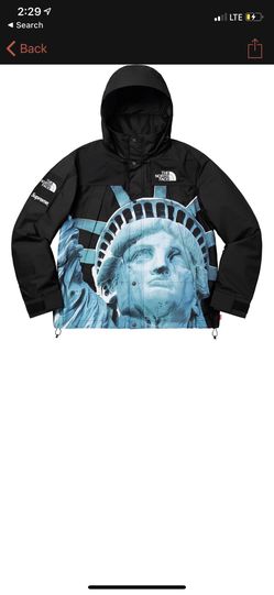 Supreme x North Face Mountain Jacket