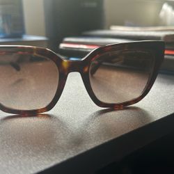 Coach Oversized Cat Eye Sunglasses