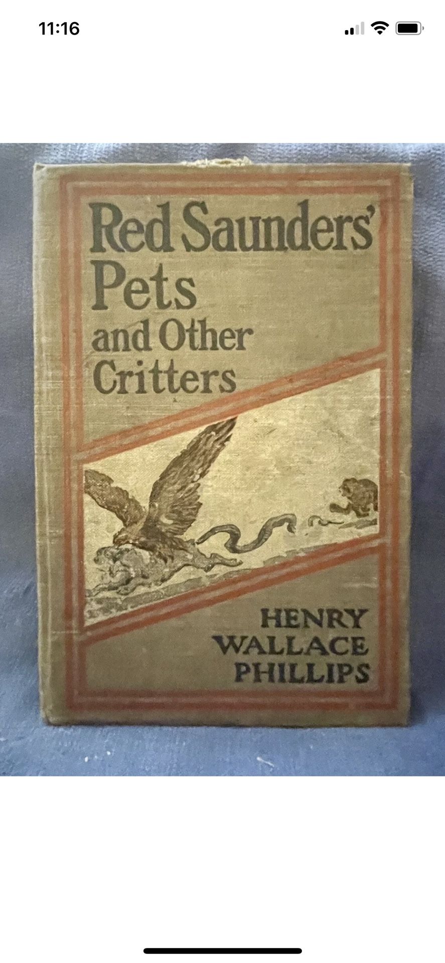 Red Saunders' Pets And Other Critters : Henry Wallace Phillips, 1906 HC McClure