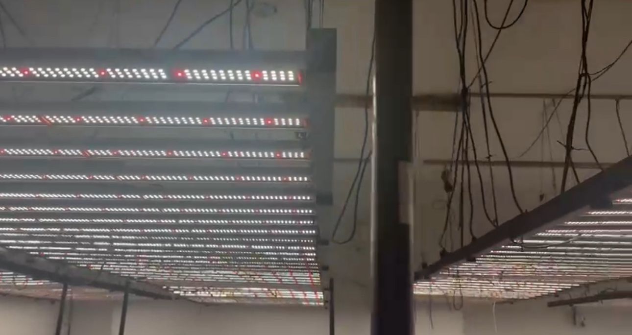 Led Grow Lights 1000watt