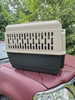 Dog kennel