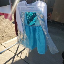 Elsa Dress  Halloween  Costume