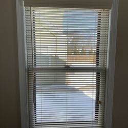Window Blinds, Set of 2