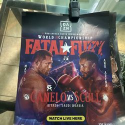 Official Fight Posters 