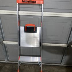 Little Giant Ladder 