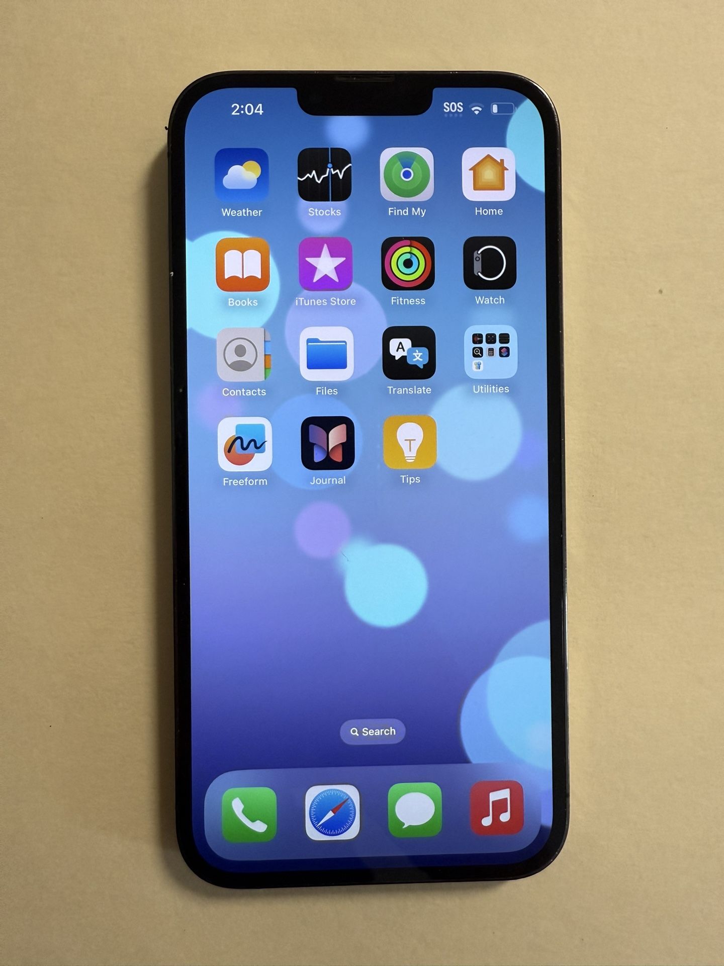 iPhone 13 Pro Max