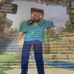 Brand New Minecraft  Steve 