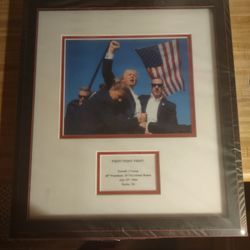 President Donald Trump 
