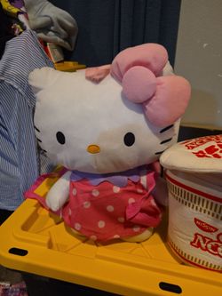 Hello Kitty Plush Backpack  and other things
