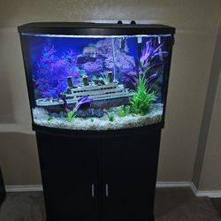 Full Aquarium/ Fish Tank Setup