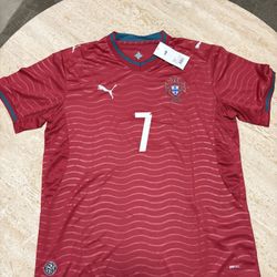 Puma Portugal 2026 World Cup home jersey Ronaldo #7 Player Version XL