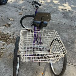 Mooncool Tricycle 