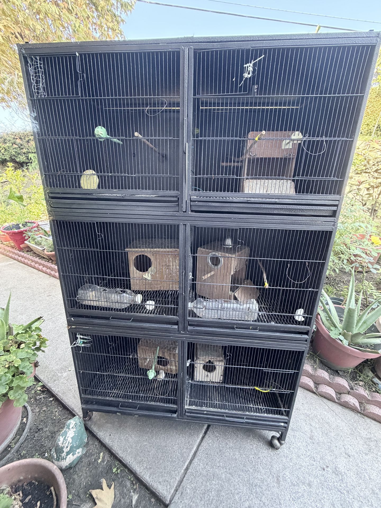 Bird Cage Lot 