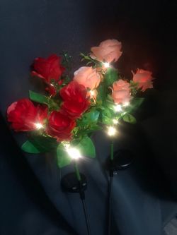 Solar light roses brand new
