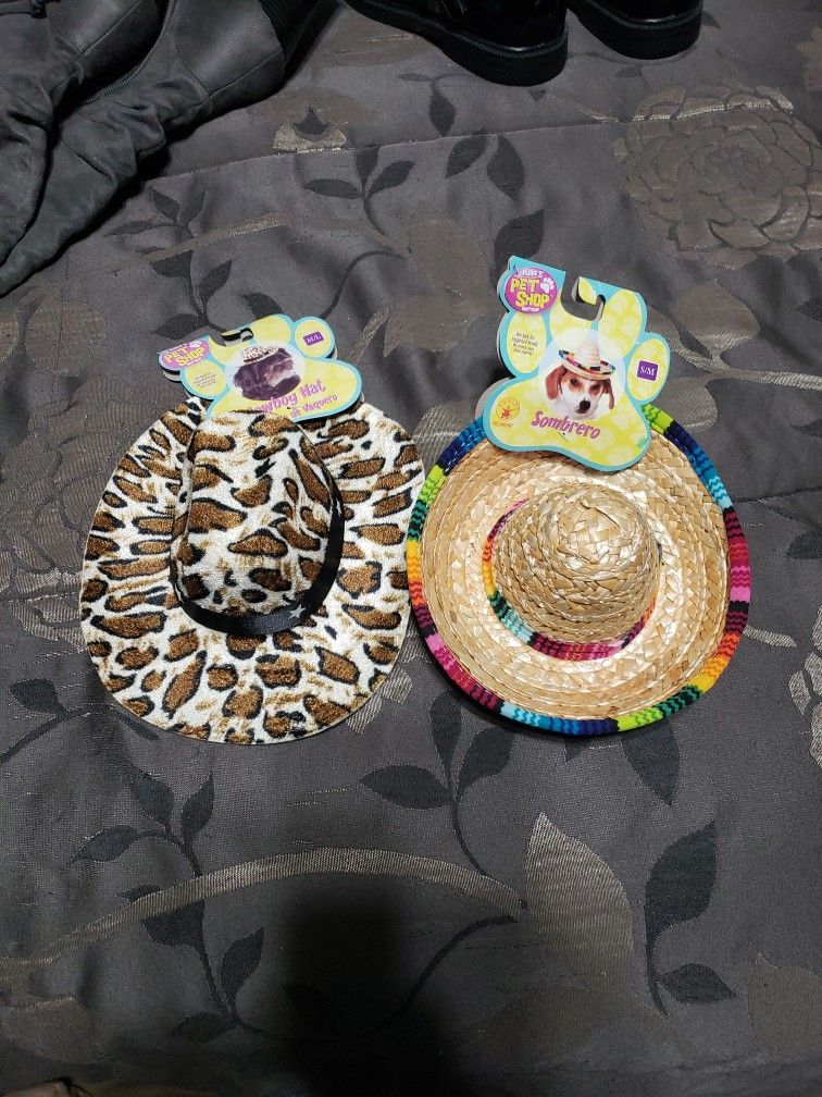 Dog Hats