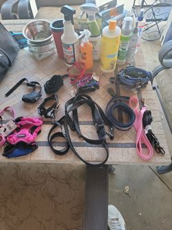 MENAGERIE  OF ASSORTED PET SUPPLIES