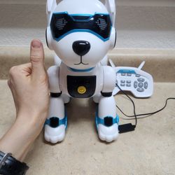 Robo Dog