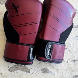 Hayabusa S4 Leather Boxing Gloves for Women & Men 16oz