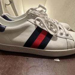 Gucci Male Shoes Size 10 