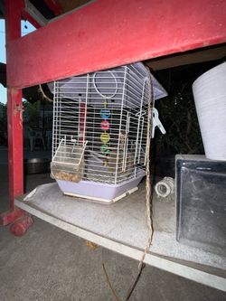 Bird cage