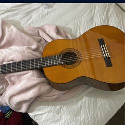 Acoustic Guitar