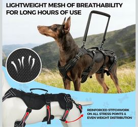 Dog Lift Harness for Medium Dogs, Full Body Lifting Dog Vest Adjustable Support Harness, Reflective, Rehabilitation Mobility Assistance for Senior Dog