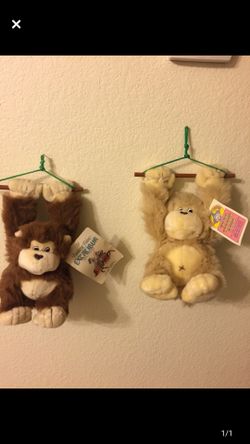 MONKEY 🐒 MONKEY 🐵