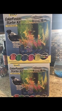 Tetra small aquarium