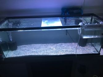 fish tank