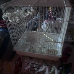 Small Bird Cage
