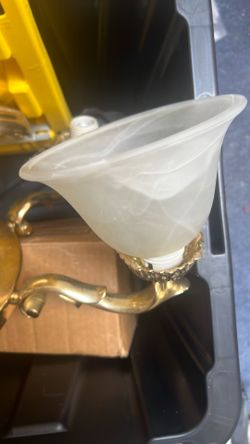 chandelier / hanging light fixture