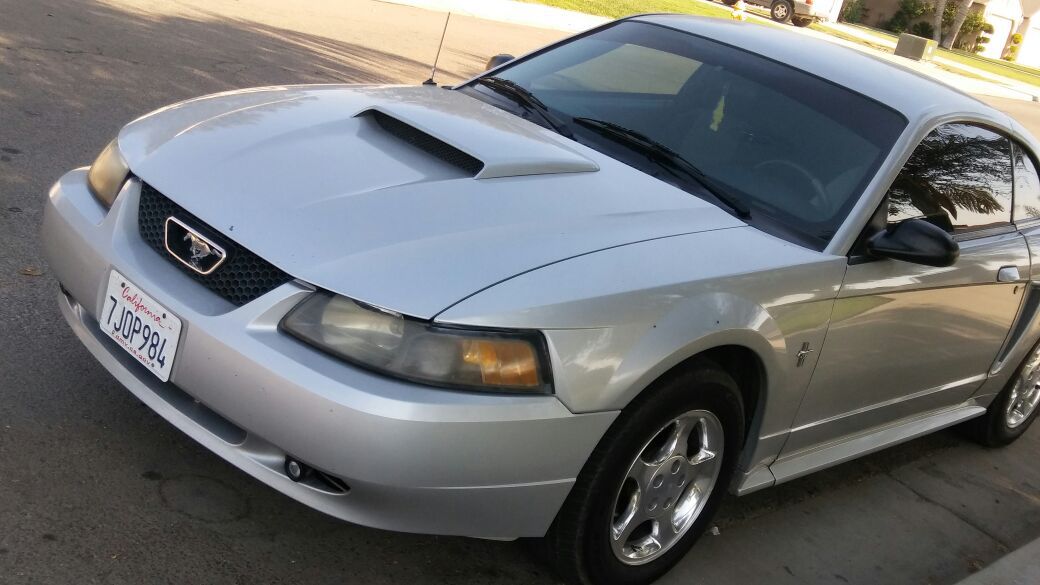 Mustang 2003