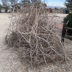 Free Firewood Kindling 