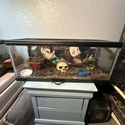 Reptile Tanks And Supplies 