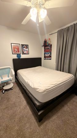 Queen Bedframe with box spring and mattress