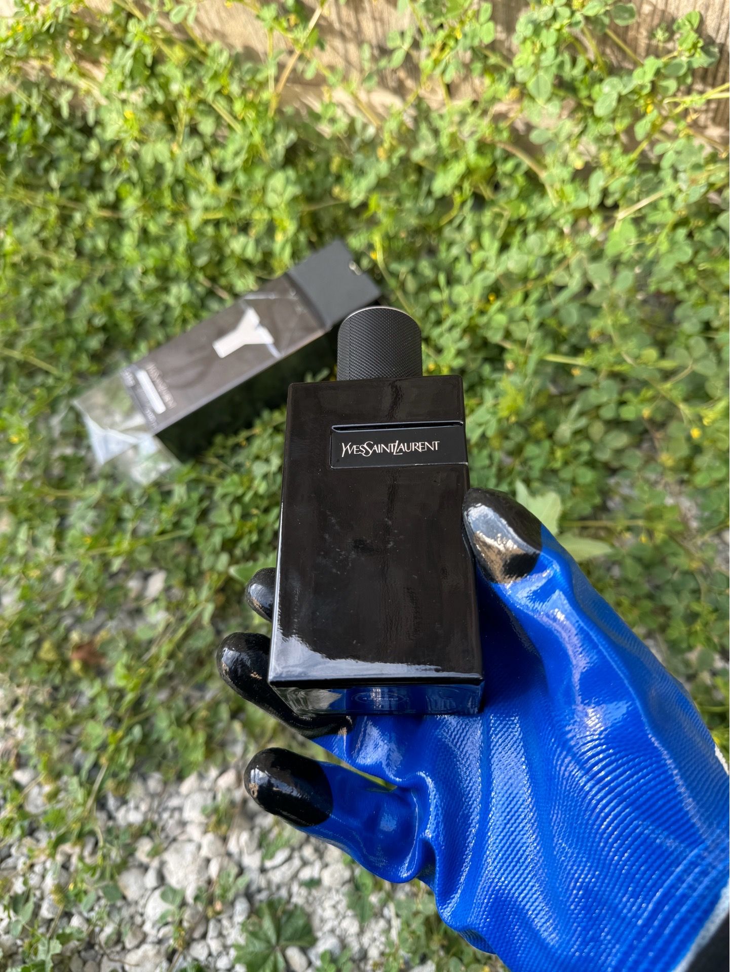 YSL EDP