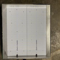 2 Mars hydro ts1000 grow lights