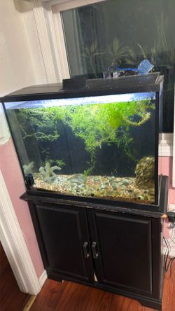 Fish tank with stand fluval filter