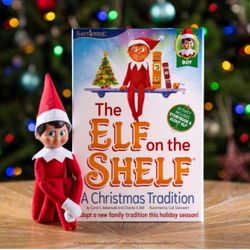 Elf On The Shlef